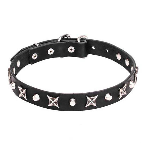 Dogue de Bordeaux genuine leather collar decorated with stars and pyramids