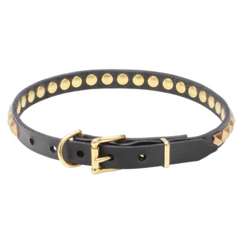 Leather dog collar with sturdy buckle and D-ring