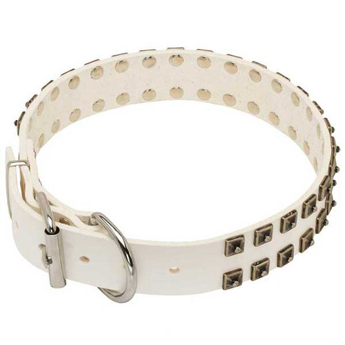 The item has strong buckle and D-ring