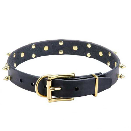 Reliable dog collar with sturdy decorations