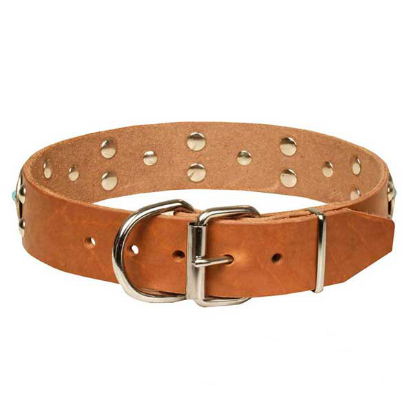 Marvelous tan leather dog collar with chrome plated adornment