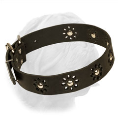 Elegant design for Dogue de Bordeaux collar