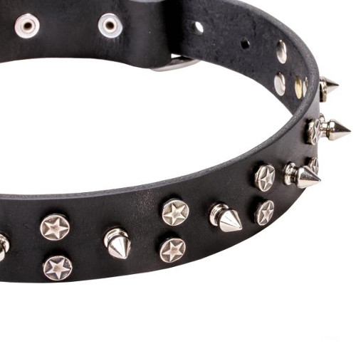 Fancy design leather dog collar