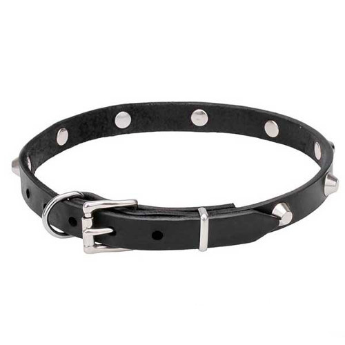 Genuine leather decorated dog collar