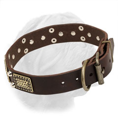 Full grain leather stylish collar