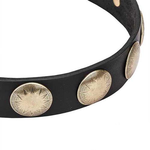 Dogue de Bordeaux collar with handset circles