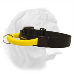 Extra Wide Nylon Collar for Better Control over your Dogue de Bordeaux During Training and Walking