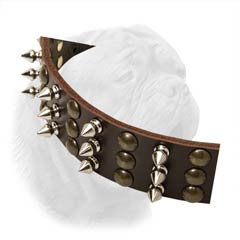 Dogue de Bordeaux Wide Leather Buckle Collar Decorated with Interchanging Columns of Spikes and Studs