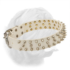 Elegant white leather Dogue de Bordeaux collar