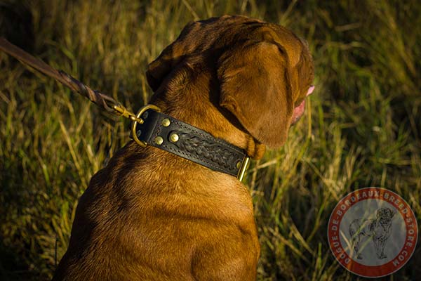 Dogue de Bordeaux collar with durable hardware
