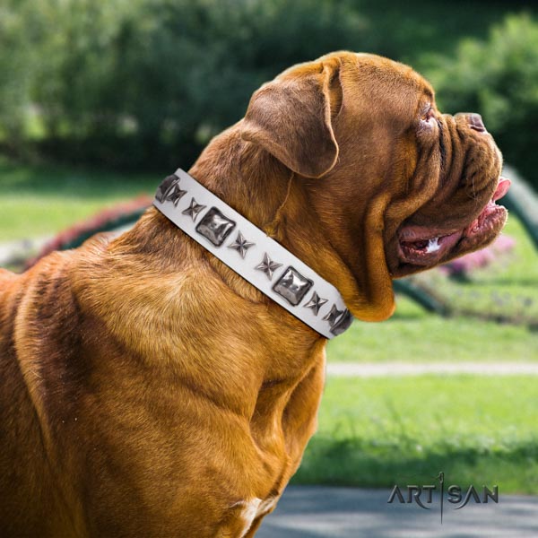 Dogue de Bordeaux decorated genuine leather collar with corrosion resistant fittings