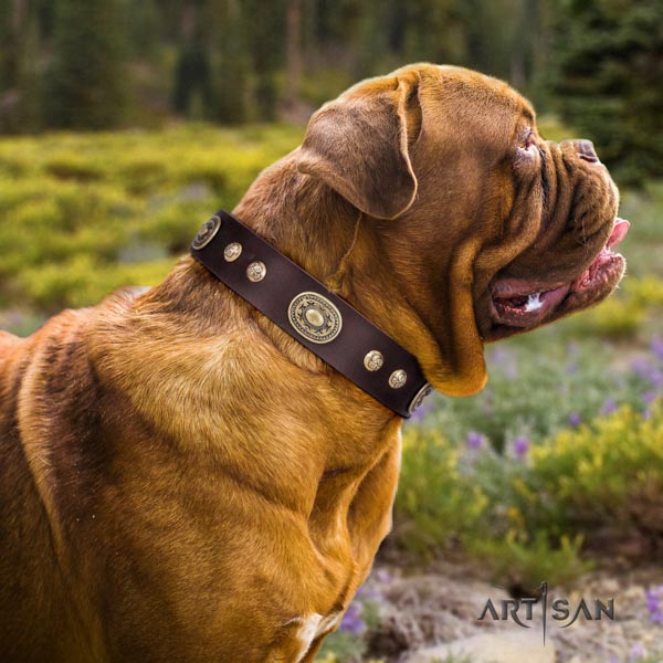Dogue de Bordeaux unusual full grain natural leather collar for everyday use