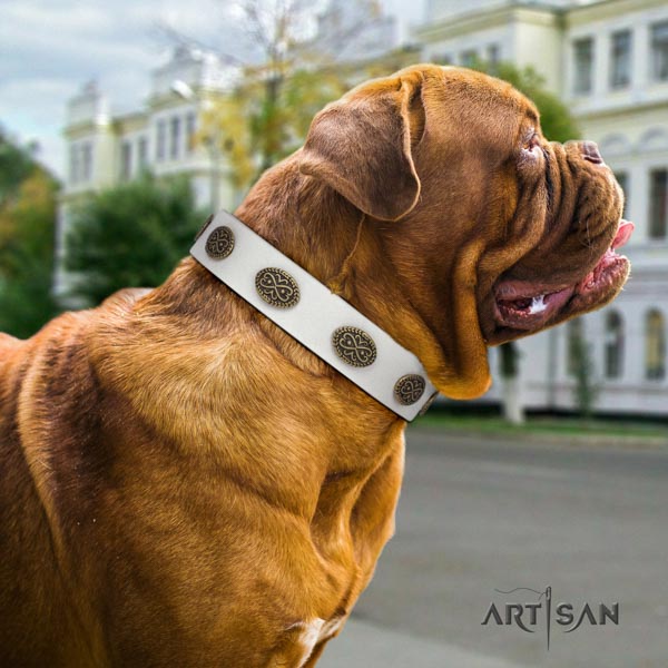 Dogue de Bordeaux trendy natural genuine leather collar for everyday walking