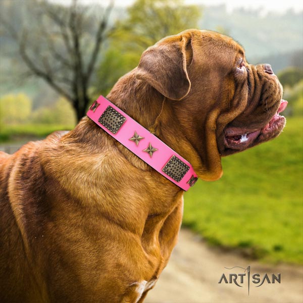Dogue de Bordeaux inimitable full grain genuine leather collar for basic training
