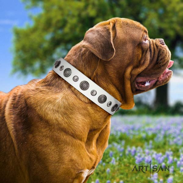 Dogue de Bordeaux top notch natural genuine leather collar for easy wearing