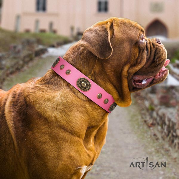 Dogue de Bordeaux unique natural genuine leather collar for everyday walking