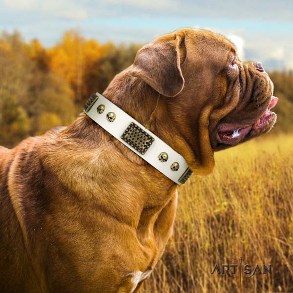 Dogue de Bordeaux fashionable full grain leather collar for comfortable wearing