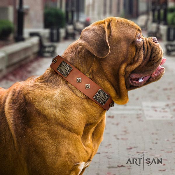 Dogue de Bordeaux trendy genuine leather collar for easy wearing