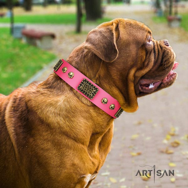 Dogue de Bordeaux inimitable full grain genuine leather collar for everyday use