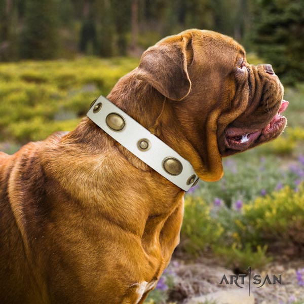 Dogue de Bordeaux fashionable full grain genuine leather collar for daily walking