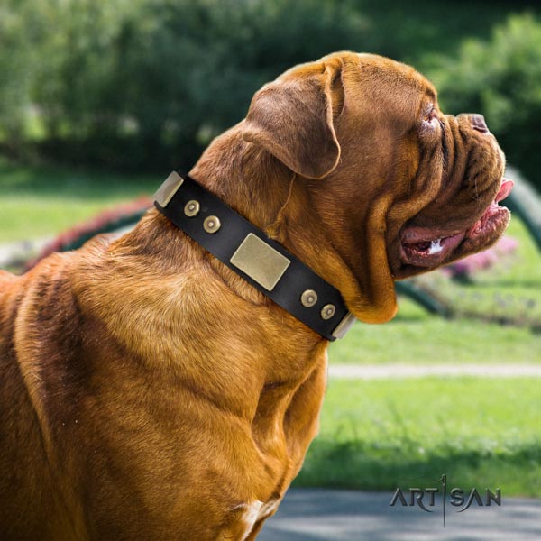 Dogue de Bordeaux designer full grain leather collar for everyday use