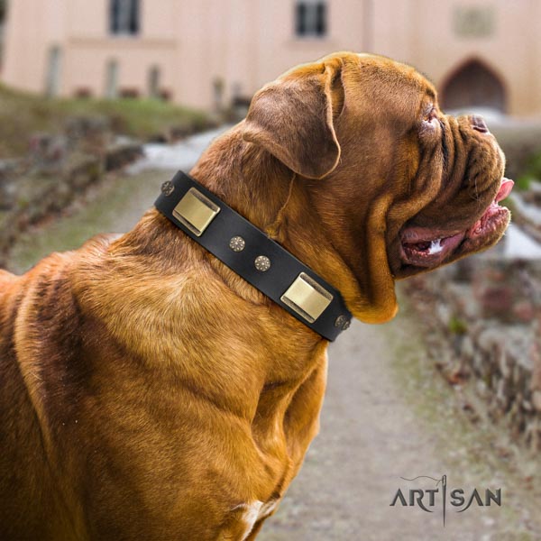 Dogue de Bordeaux inimitable full grain natural leather collar for comfy wearing