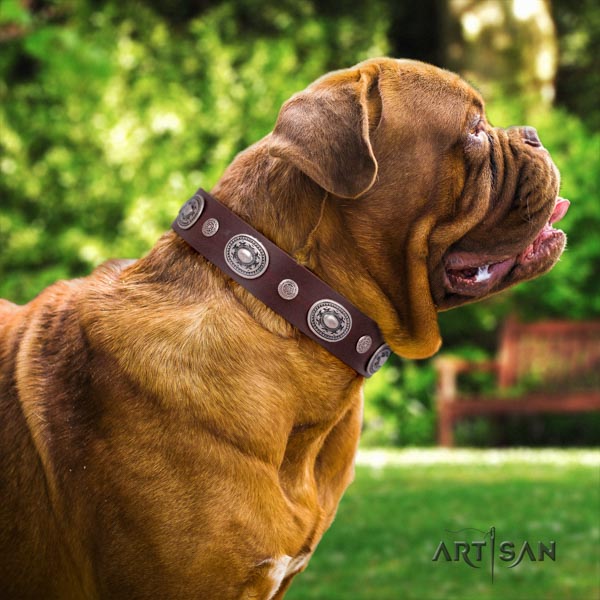 Dogue de Bordeaux top notch genuine leather collar for daily walking