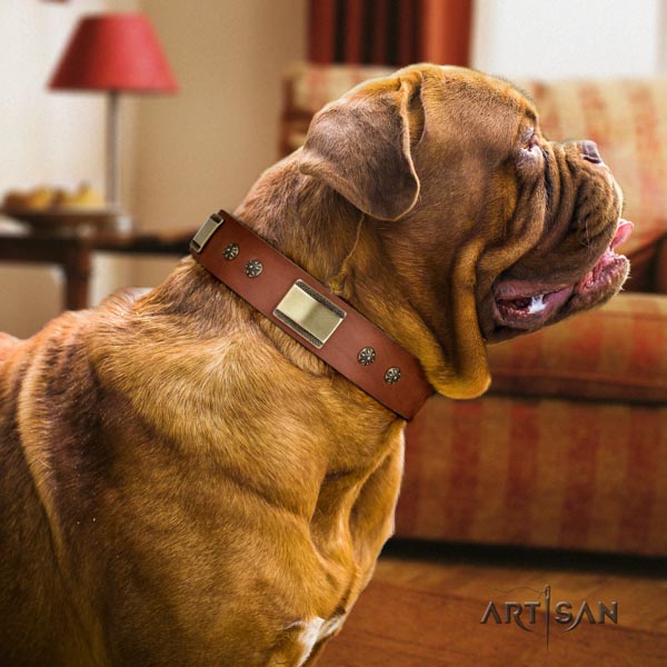 Dogue de Bordeaux designer genuine leather collar for comfortable wearing