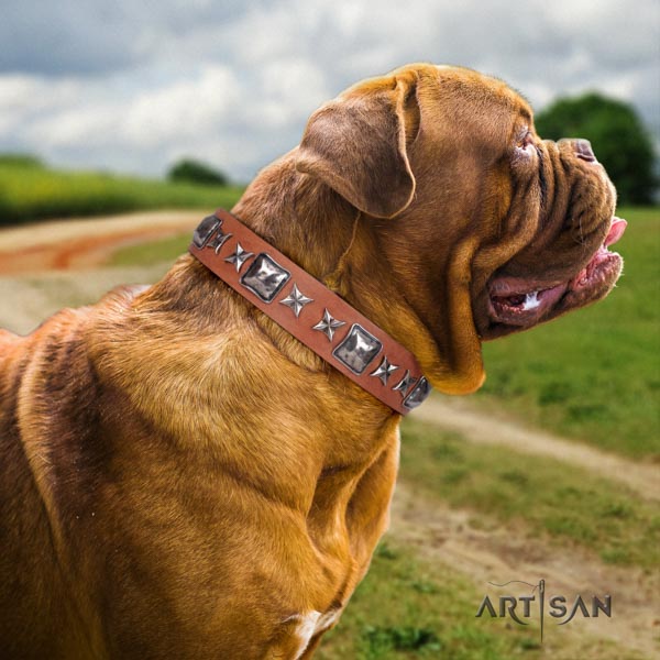 Dogue de Bordeaux decorated genuine leather collar with corrosion proof traditional buckle