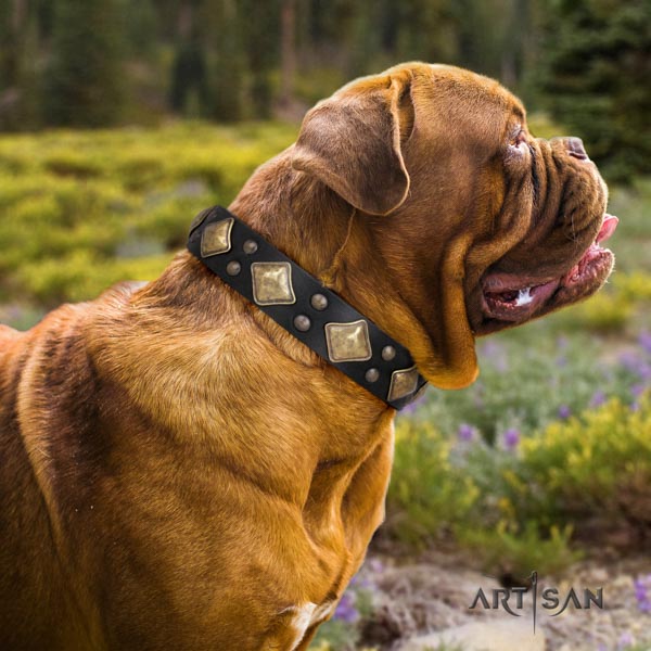 Dogue de Bordeaux stylish design full grain leather collar for comfy wearing