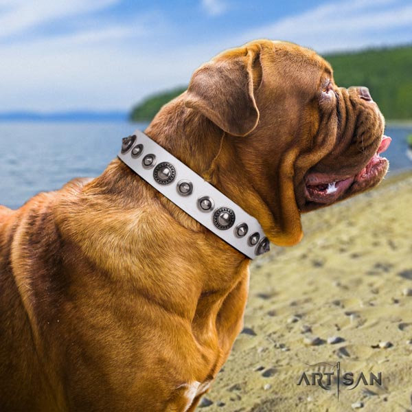 Dogue de Bordeaux studded full grain natural leather collar with rust resistant D-ring