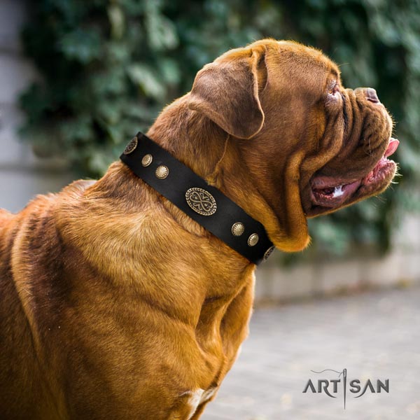 Dogue de Bordeaux inimitable genuine leather collar for handy use