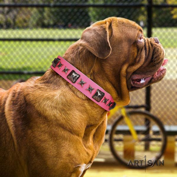 Dogue de Bordeaux embellished genuine leather collar with strong hardware