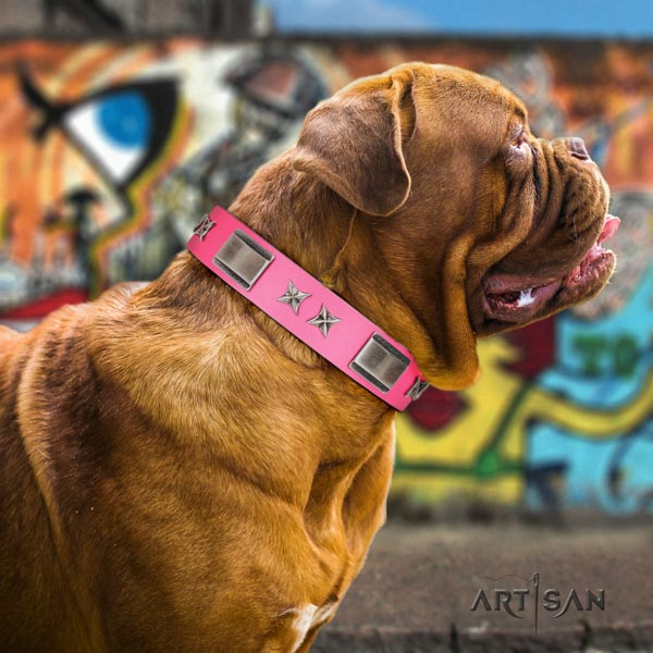 Dogue de Bordeaux stunning leather collar for easy wearing