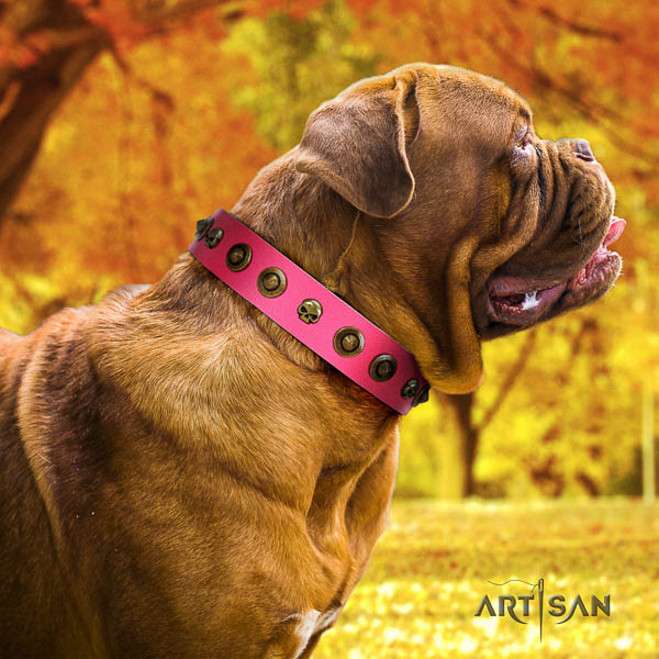 Dogue de Bordeaux walking dog collar of top quality natural leather