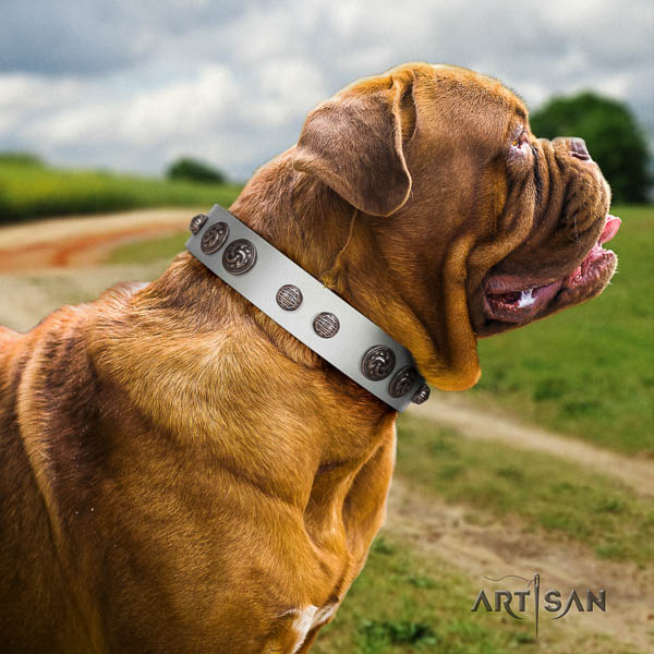 Dogue de Bordeaux dog collar of exquisite quality leather for basic training