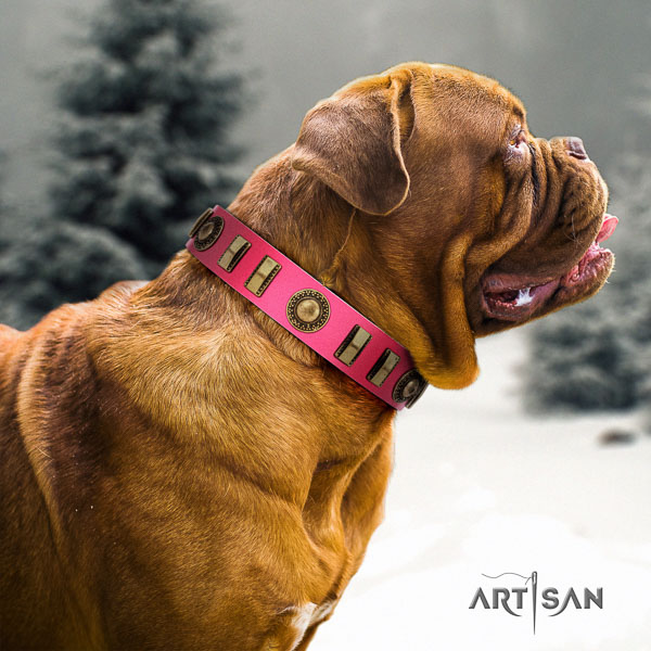 Dogue de Bordeaux walking dog collar of flexible natural leather