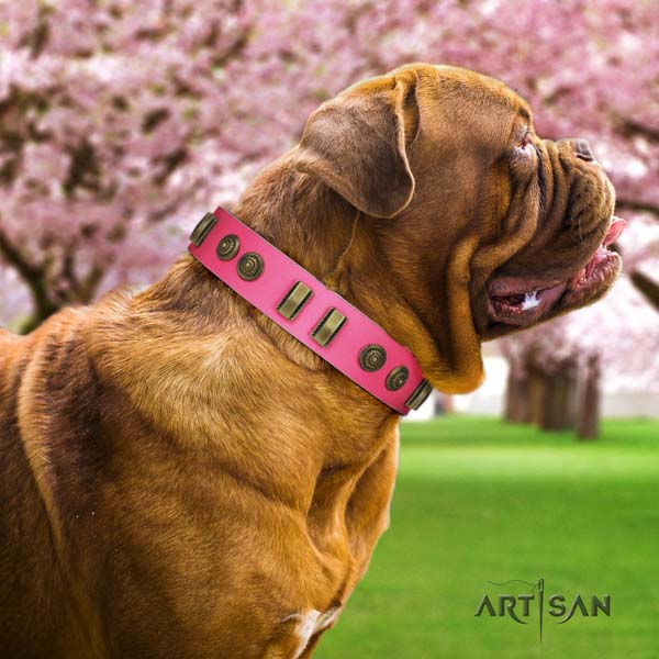 Dogue de Bordeaux stylish design leather collar for comfortable wearing