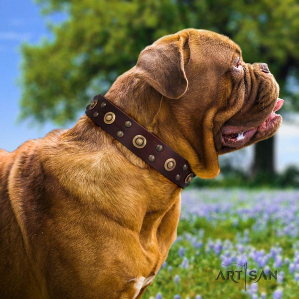 Dogue de Bordeaux top notch full grain genuine leather collar for everyday use