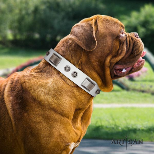 Dogue de Bordeaux significant natural genuine leather collar for basic training