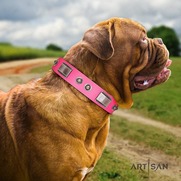 Dogue de Bordeaux stylish full grain genuine leather collar for everyday use