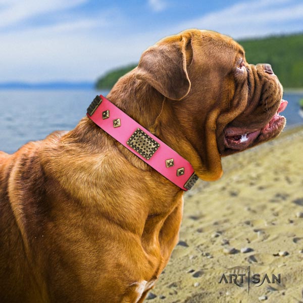 Dogue de Bordeaux fashionable full grain leather collar for walking