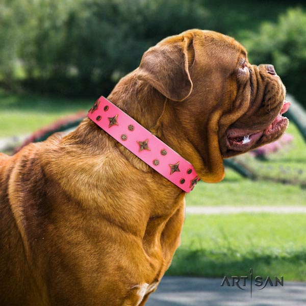 English Bulldog convenient genuine leather dog collar for everyday walking