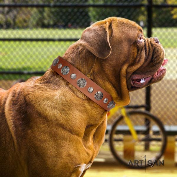 Dogue de Bordeaux inimitable natural genuine leather collar for everyday use