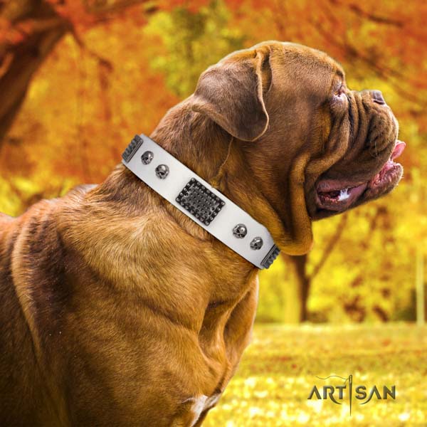 Dogue de Bordeaux inimitable full grain genuine leather collar for stylish walking