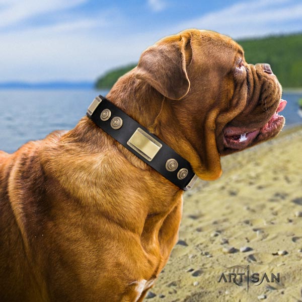Dogue de Bordeaux designer natural genuine leather collar for everyday use