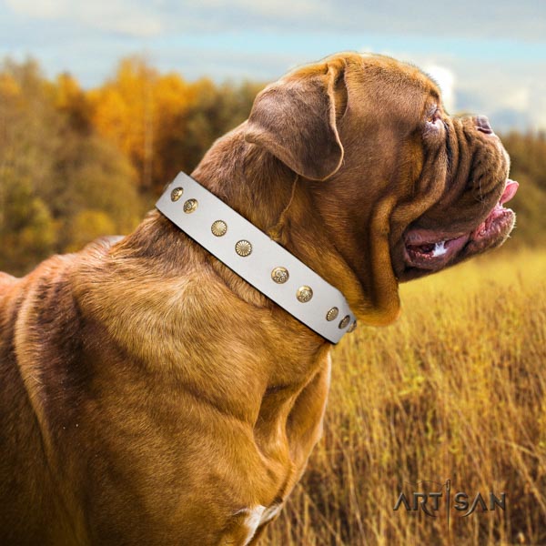 Dogue de Bordeaux unique genuine leather collar for handy use