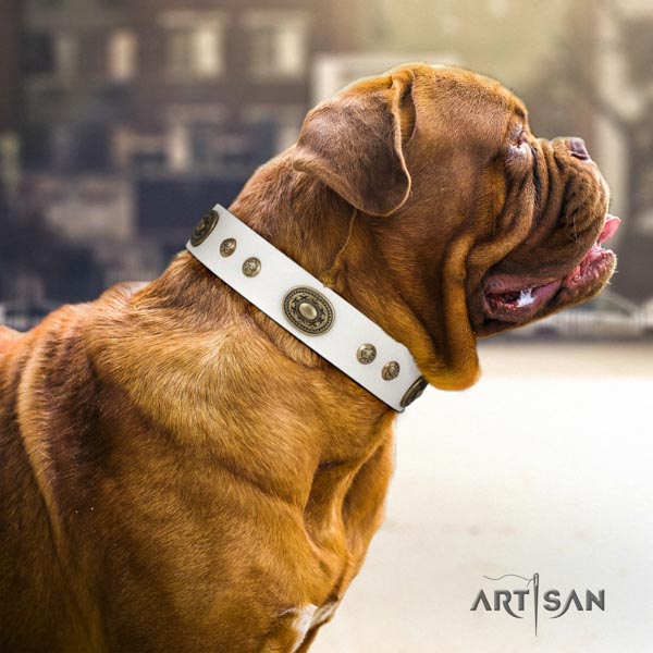 Dogue de Bordeaux amazing natural genuine leather collar for basic training