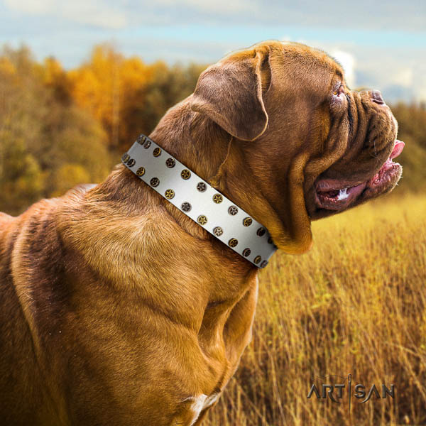 Dogue de Bordeaux daily walking dog collar of exceptional quality natural leather