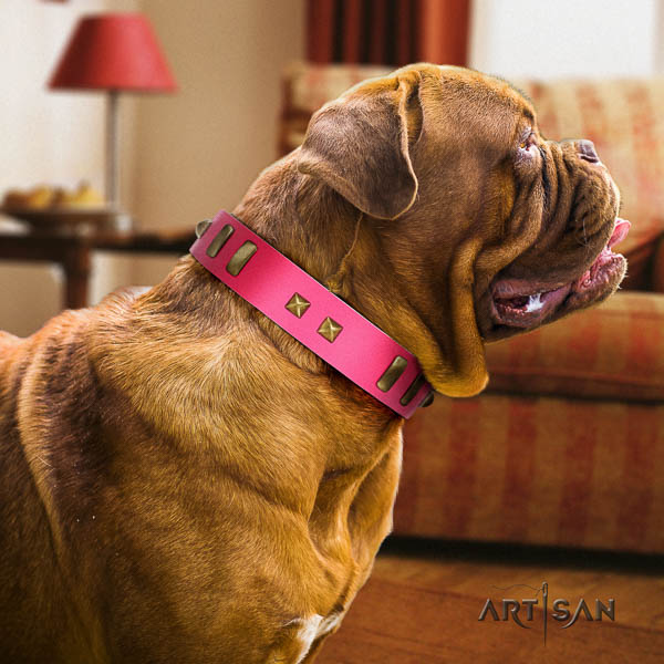 Dogue de Bordeaux walking dog collar of flexible leather